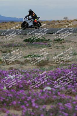 media/Jan-14-2023-SoCal Trackdays (Sat) [[497694156f]]/Turn 14 Exit Bloomig (145pm)/